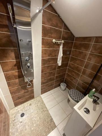 Studio Privee Vesoul -Wifi,Tv,Clim,Parking Gratuit Zewnętrze zdjęcie